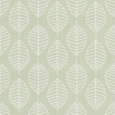 Boheme Eden Roman Blinds - Zen Shades