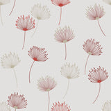 Calista Lust Curtains - Zen Shades