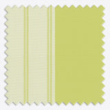 Stripe Green Banana Day & Night Vertical Sheer 40cm - Zen Shades