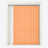 Van Gogh Muskmelon Vertical Blinds - Zen Shades